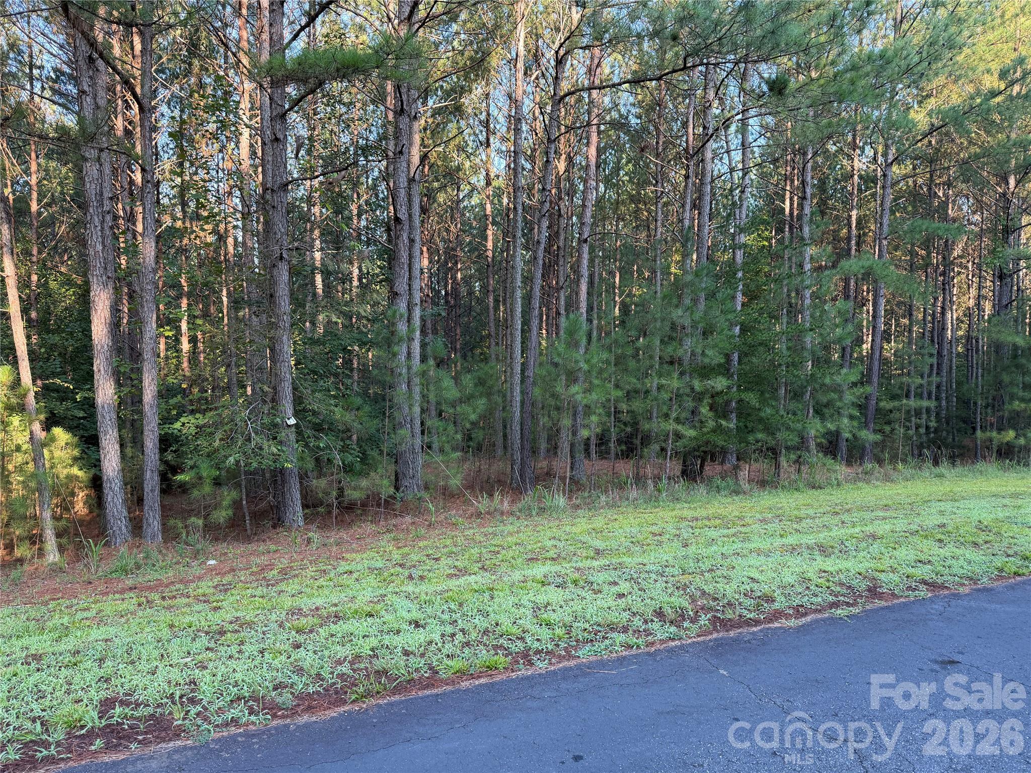 5th image of 108 Whispering Pines Ln, Mooresboro, NC 28114 | MLS# 4417084