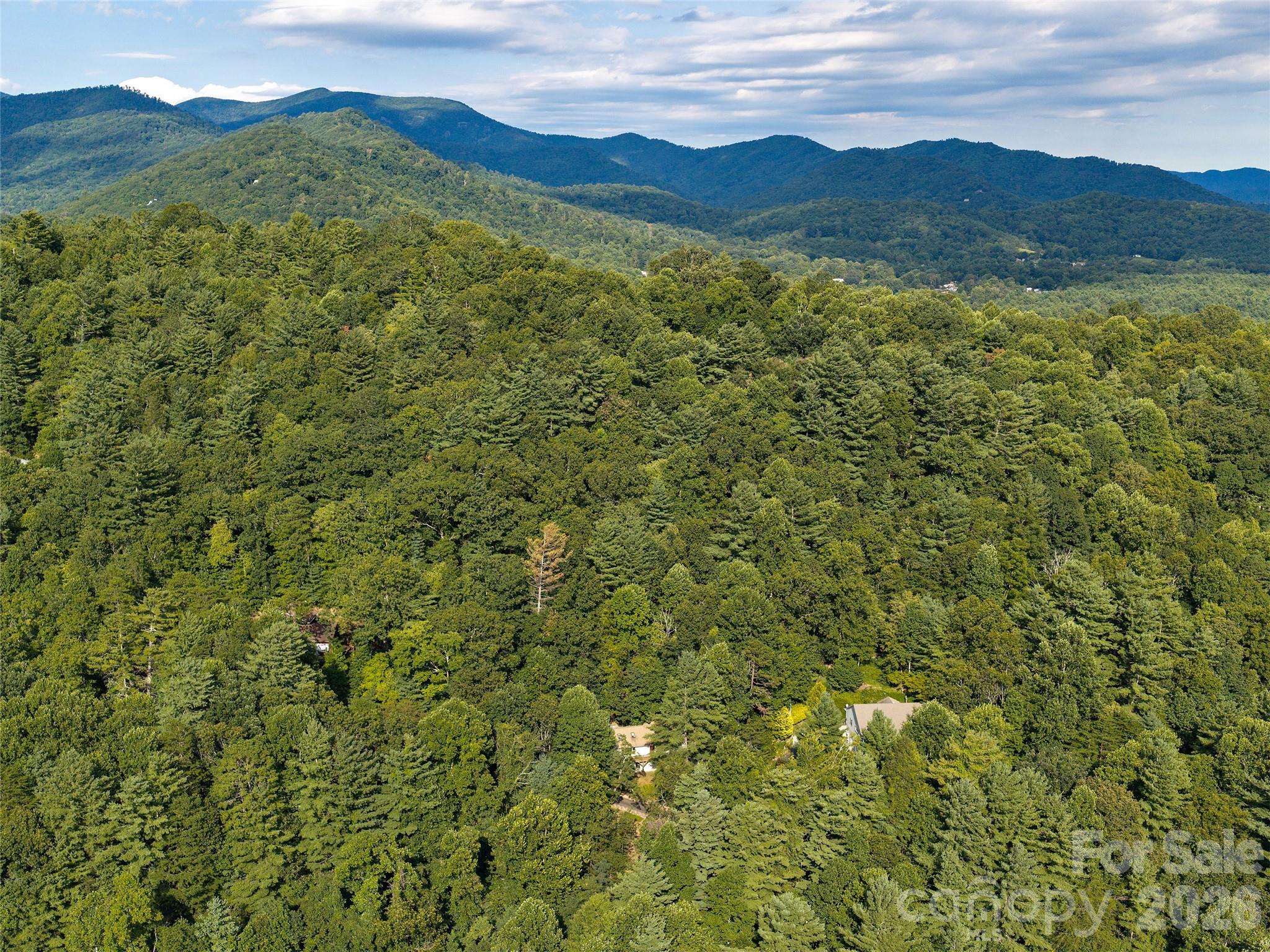 39th image of 63 Independence Blvd, Asheville, NC 28805 | MLS# 4417559