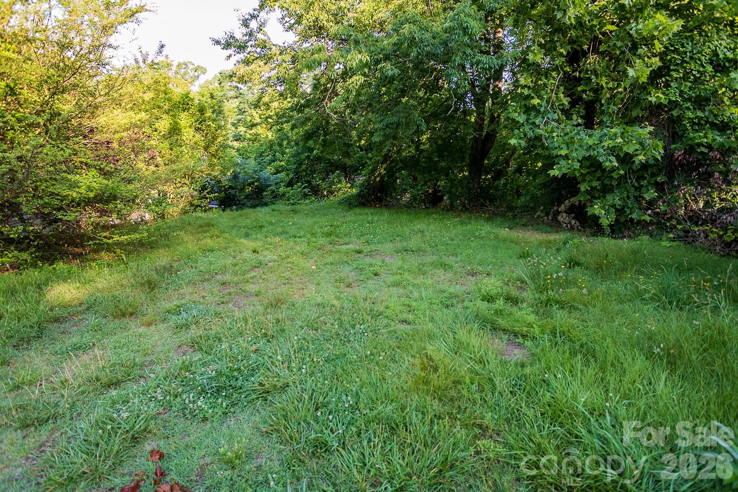 3rd image of 99999 Clingman Ave, Asheville, NC 28801 | MLS# 4417581