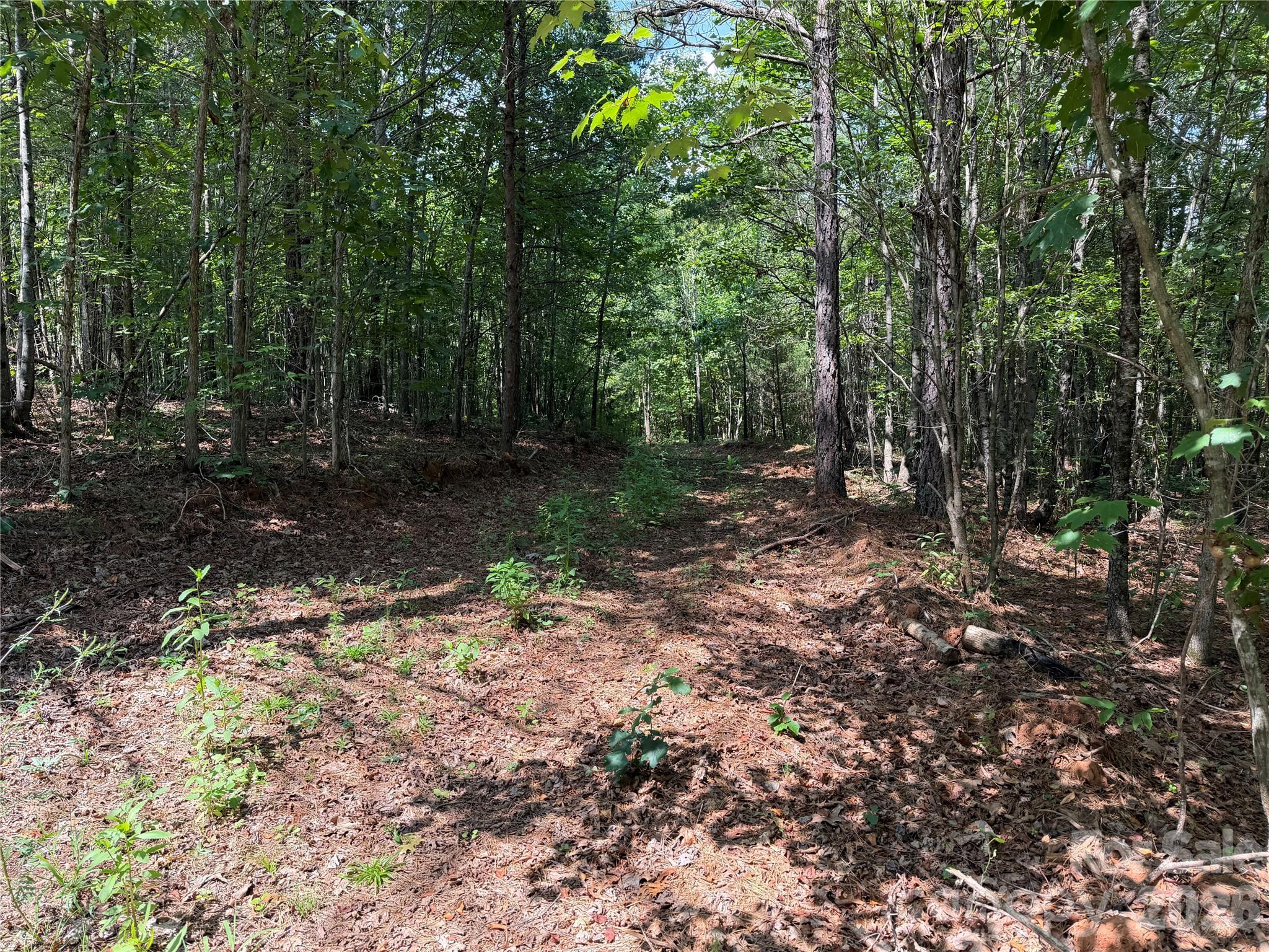 4th image of 6356 Sunny Ridge Ln, Morganton, NC 28655 | MLS# 4417756