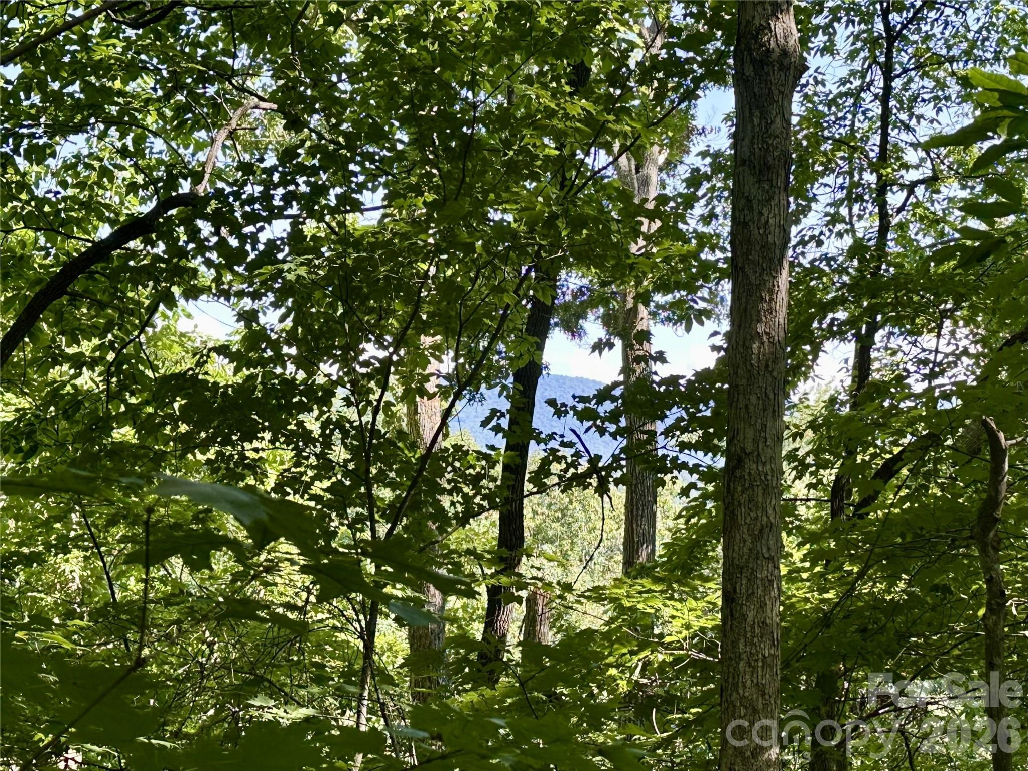 4th image of 00 Liberty Rd #21, Waynesville, NC 28785 | MLS# 4418612