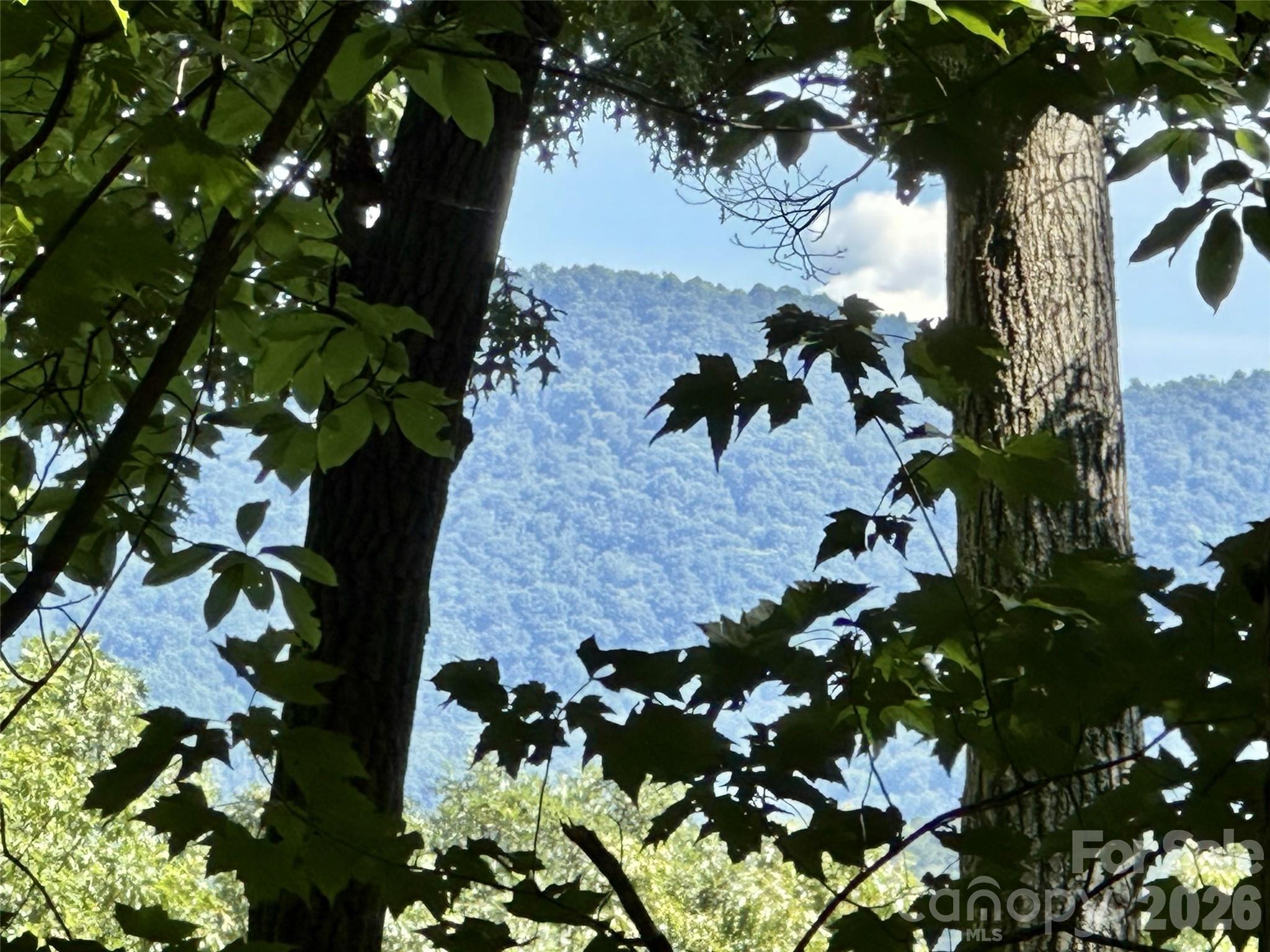 1st image of 00 Liberty Rd #21, Waynesville, NC 28785 | MLS# 4418612