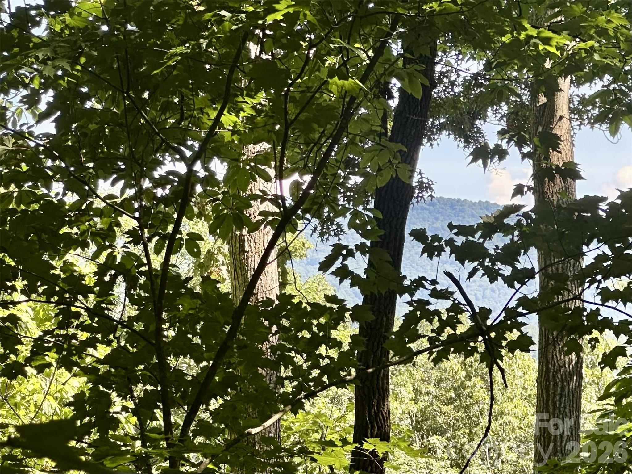 5th image of 00 Liberty Rd #21, Waynesville, NC 28785 | MLS# 4418612