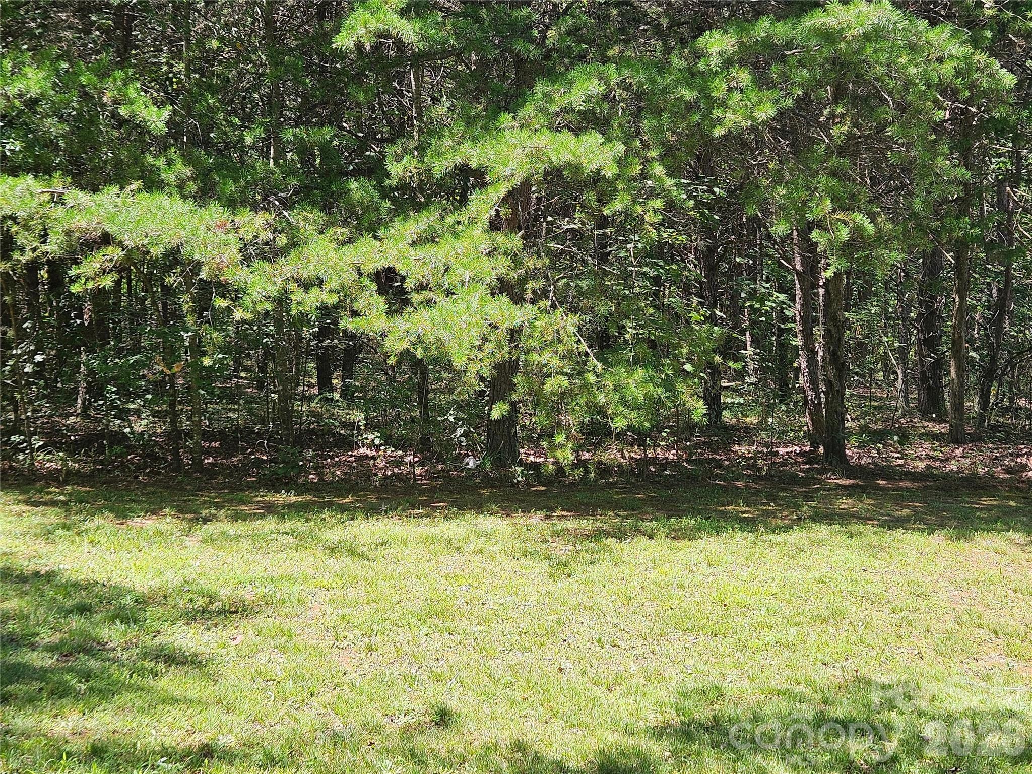 4th image of 0 Shepherds Creek Cir #0, Rutherfordton, NC 28139 | MLS# 4418615