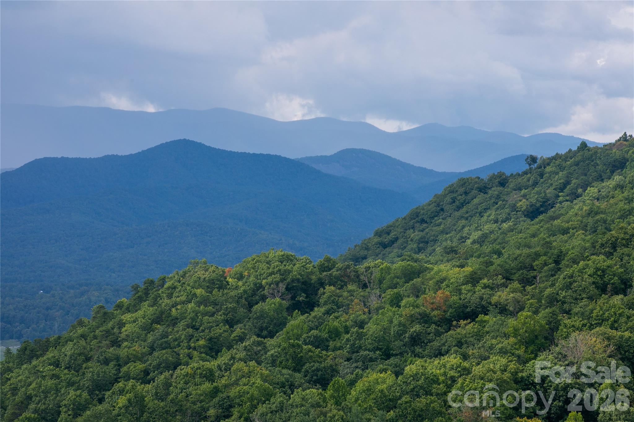 Photo 5 of Single family home for sale at 303 Wodigeasgohi Dr, Brevard, NC 28712 | MLS# 4419106 | Listing updated on 2026-09-05