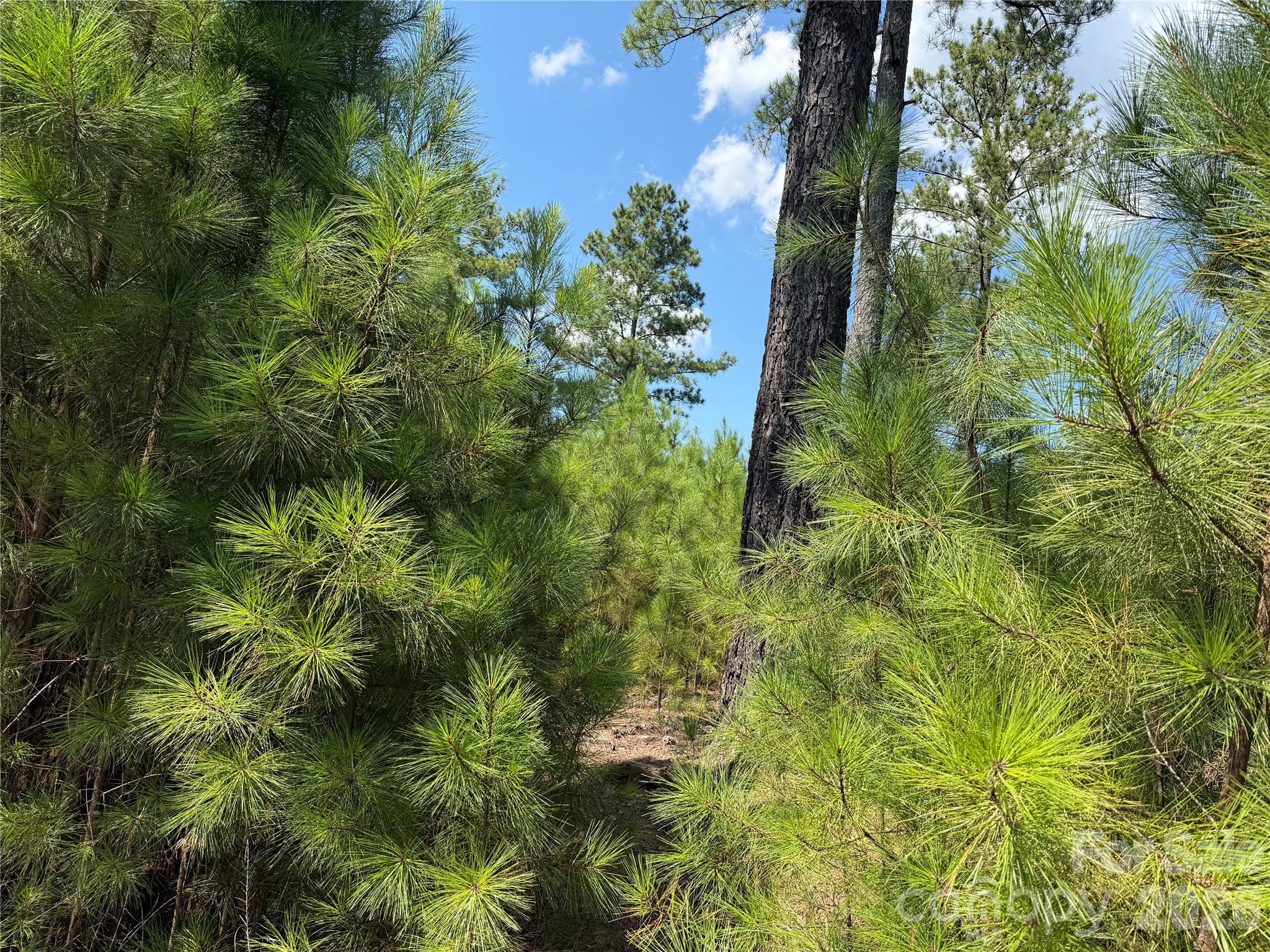 Photo 3 of Land for sale at V/L Coveside Dr #133, Granite Falls, NC 28630 | MLS# 4419746 | Listing updated on 2026-09-04