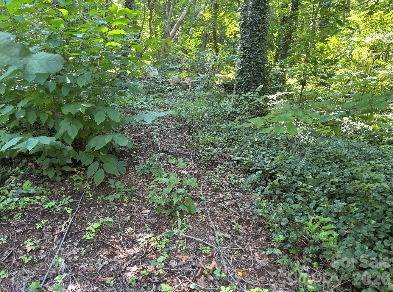 12th image of 0 Rock Broad River Rd #21, Hendersonville, NC 28792 | MLS# 4419790