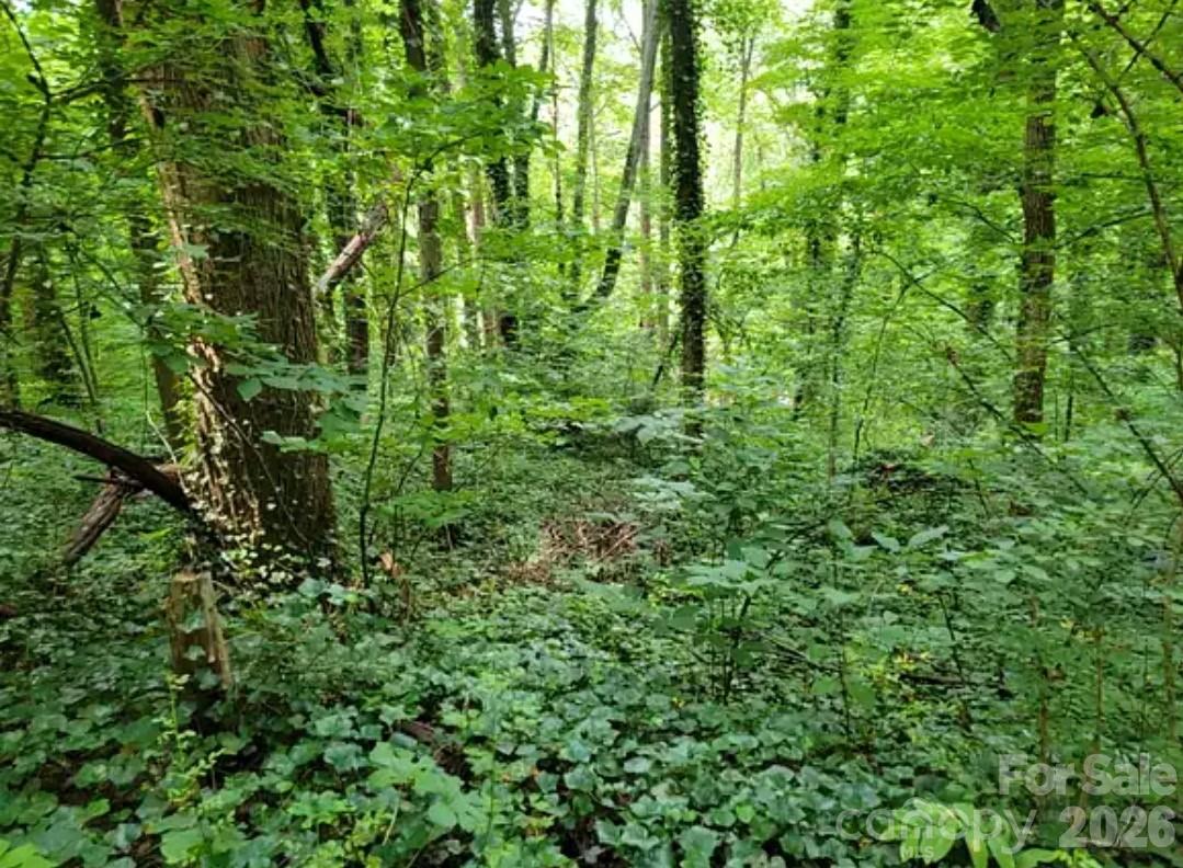 1st image of 0 Rock Broad River Rd #21, Hendersonville, NC 28792 | MLS# 4419790