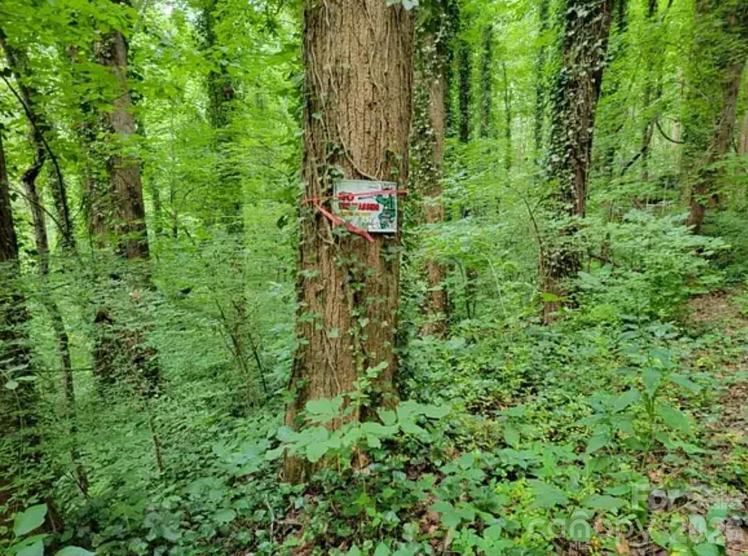 4th image of 0 Rock Broad River Rd #21, Hendersonville, NC 28792 | MLS# 4419790