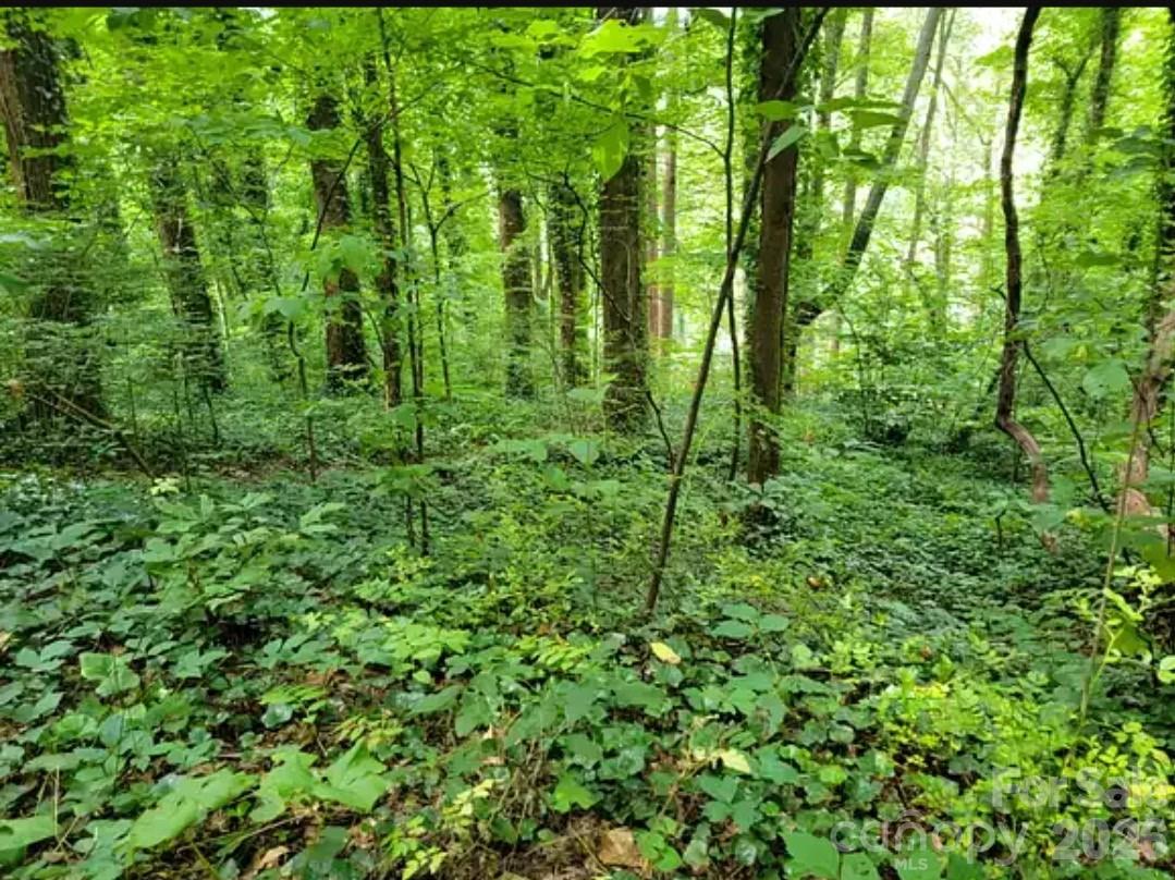 3rd image of 0 Rock Broad River Rd #21, Hendersonville, NC 28792 | MLS# 4419790
