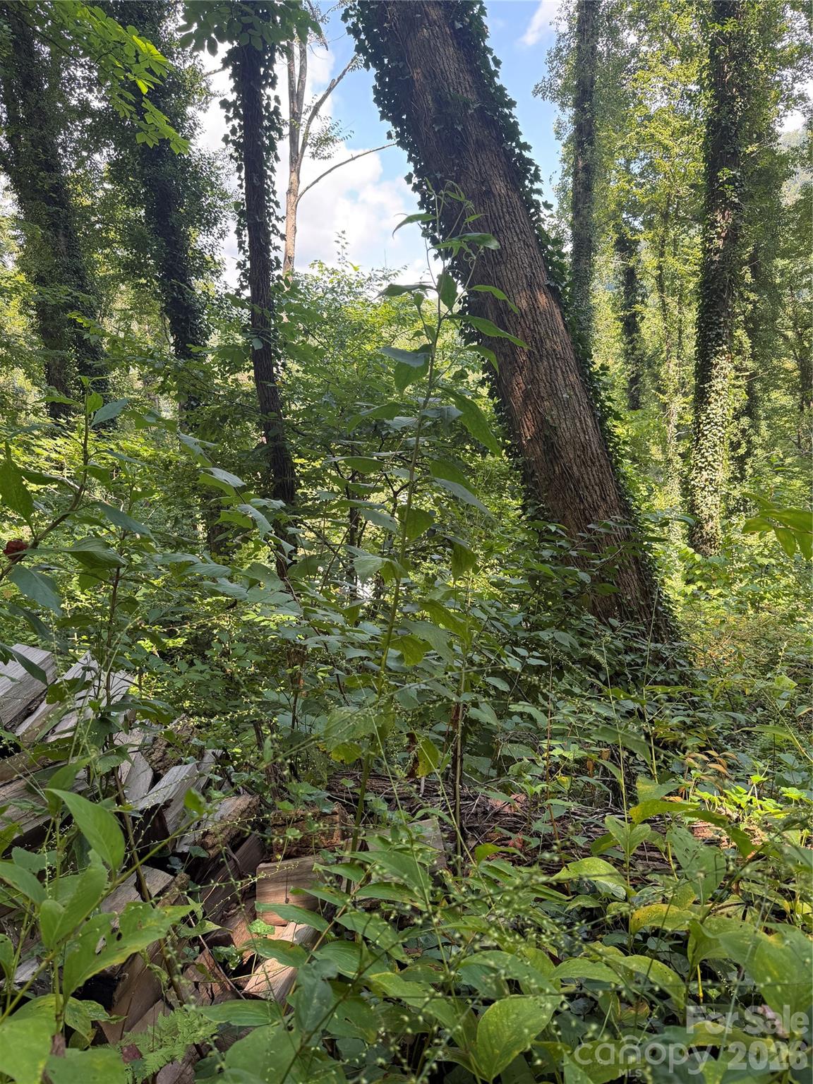 5th image of 0 Rock Broad River Rd #21, Hendersonville, NC 28792 | MLS# 4419790
