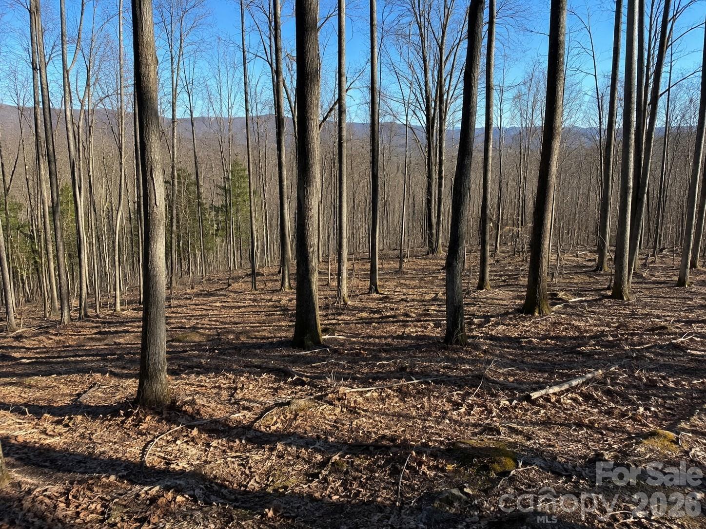 Photo 1 of Land for sale at 00 Crab Apple Dr, Burnsville, NC 28714 | MLS# 4420779 | Listing updated on 2026-09-05