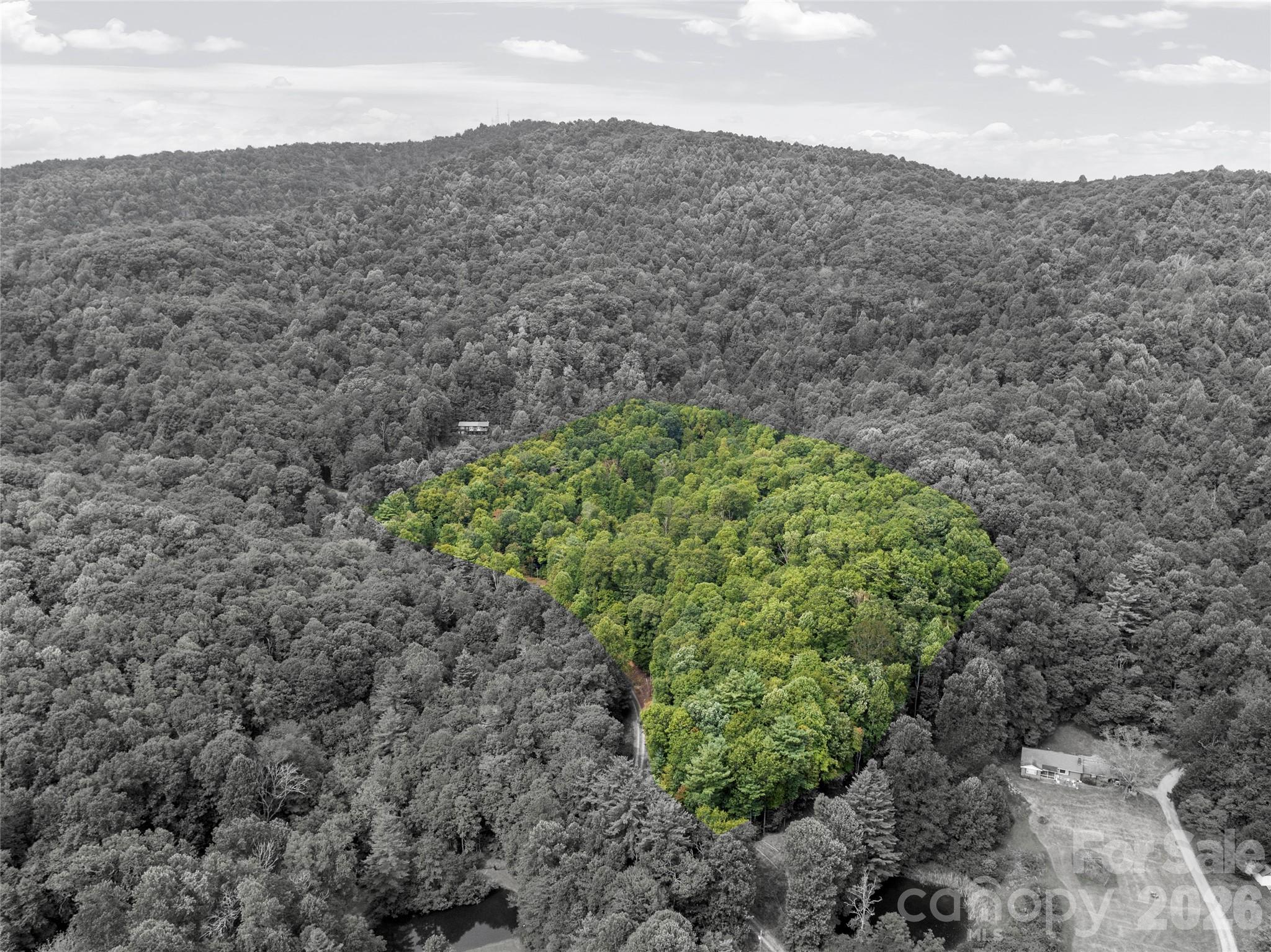 Photo 3 of Land for sale at 000 Pond Rd, Spruce Pine, NC 28777 | MLS# 4421373 | Listing updated on 2026-09-05