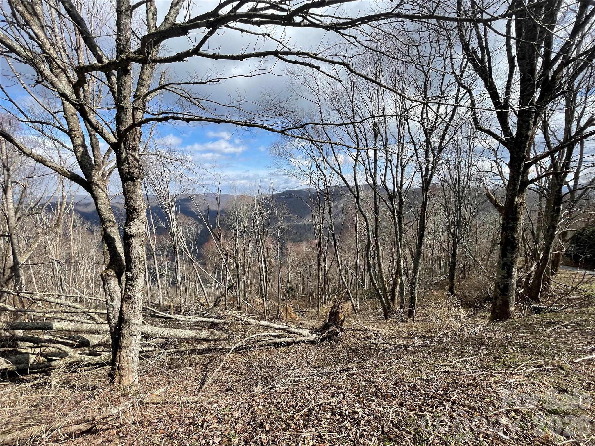 2nd image of Lot #39 Ridge Top Cir, Clyde, NC 28721 | MLS# 3527289