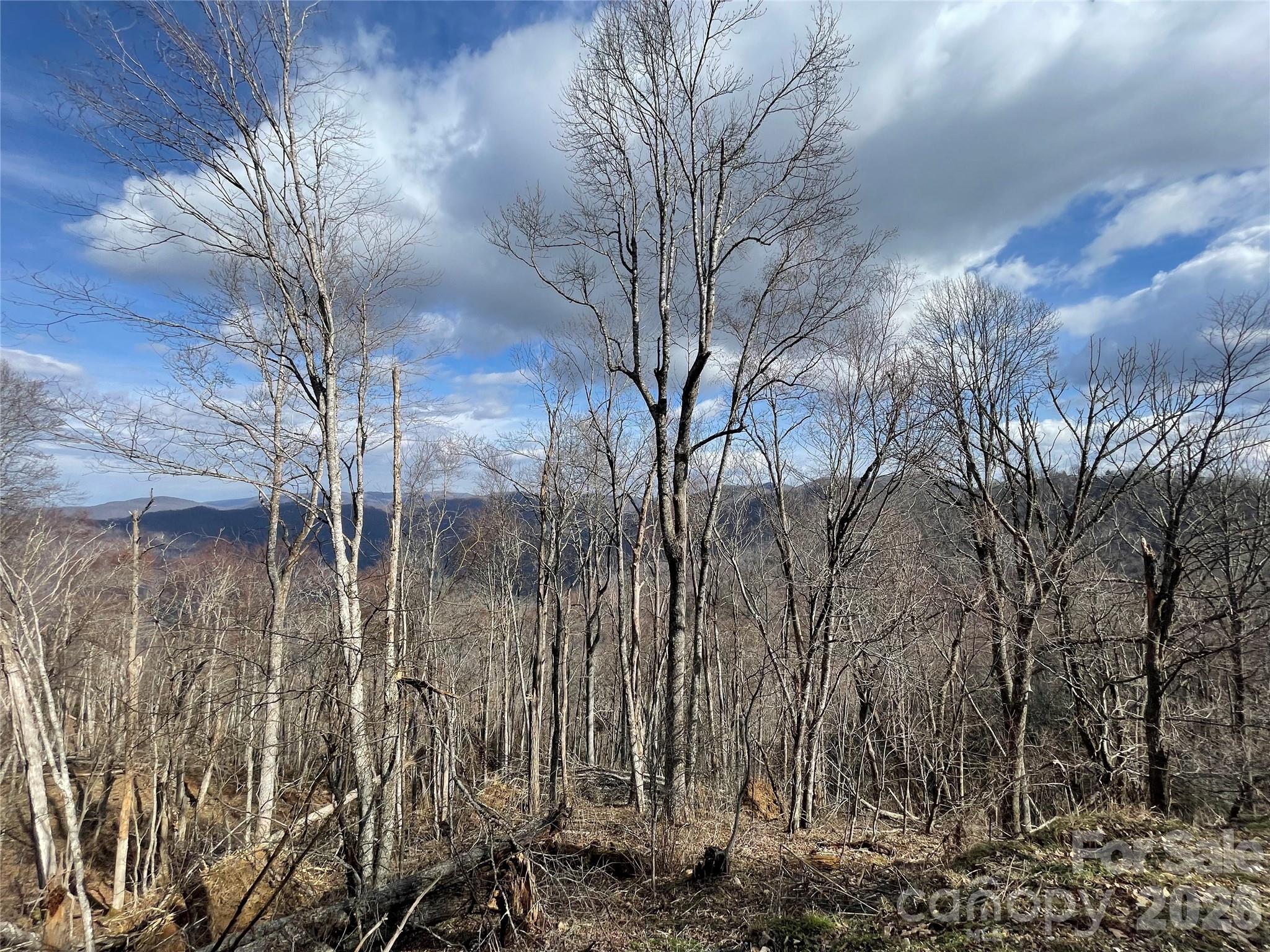 3rd image of Lot #39 Ridge Top Cir, Clyde, NC 28721 | MLS# 3527289