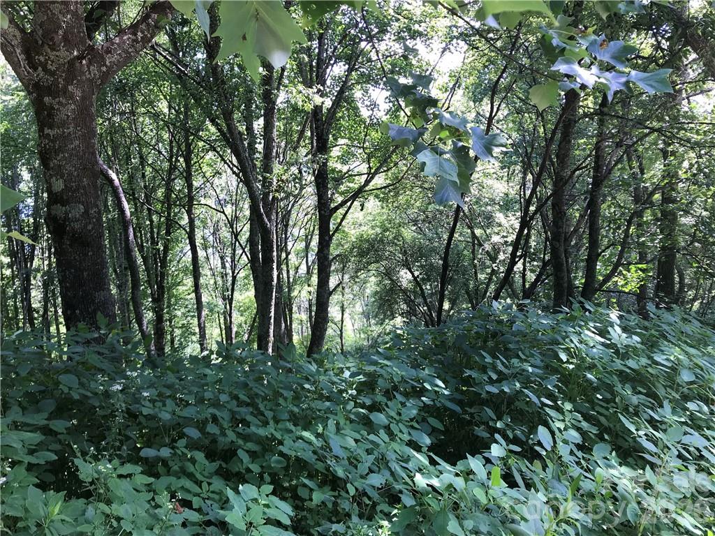 5th image of Lot #39 Ridge Top Cir, Clyde, NC 28721 | MLS# 3527289