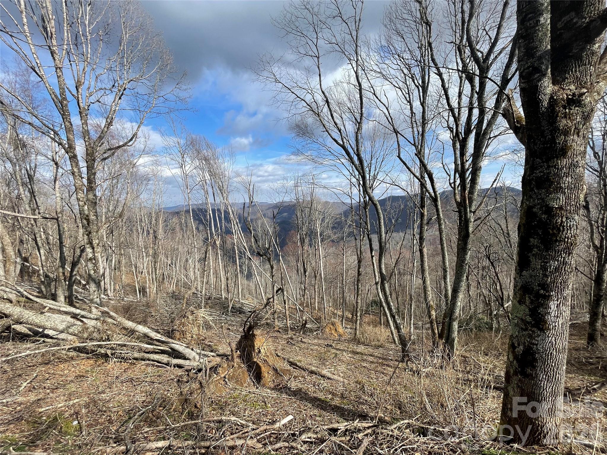 4th image of Lot #39 Ridge Top Cir, Clyde, NC 28721 | MLS# 3527289