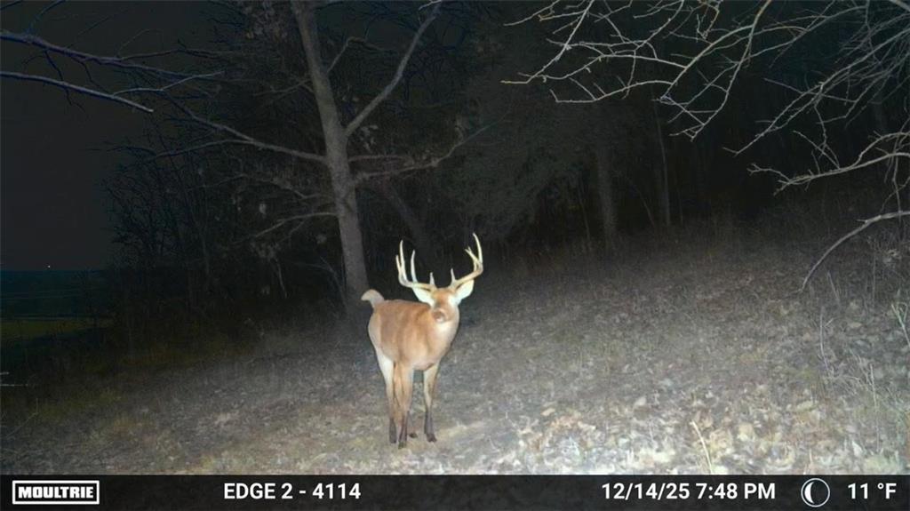 Homes for sale in Lacygne, KS | E 2000 Rd, Lacygne, KS 66040 | MLS# 2557744