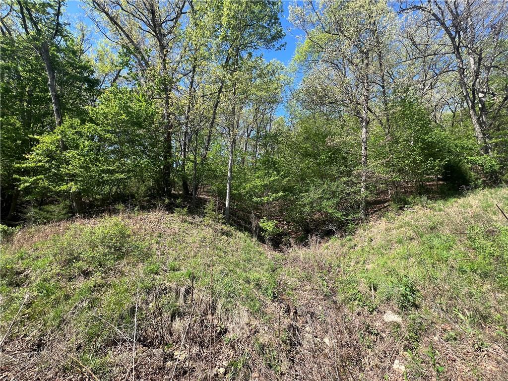 Homes for sale in Gravois Mills, MO | 8,9,12 &sw 1/4 Red Hollow Rd, Gravois Mills, MO 65037 | MLS# 2582935