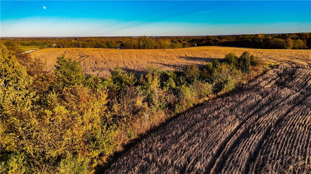 Homes for sale in Gallatin, MO | Quartz And Elm St, Gallatin, MO 64640 | MLS# 2584347