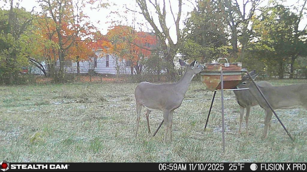 Homes for sale in Parsons, KS | 2617 N North Blvd, Parsons, KS 67357 | MLS# 2585173