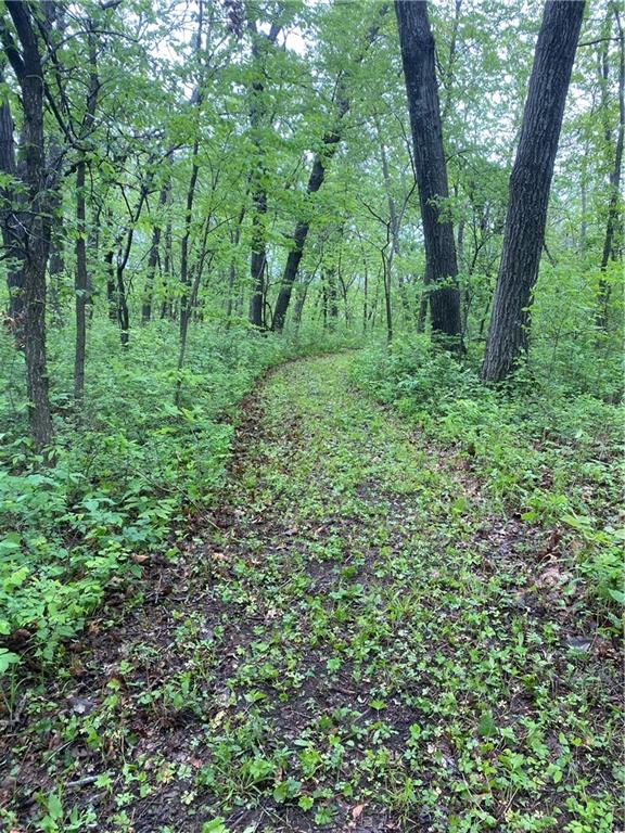 Homes for sale in Perry, KS | 00000 Vacant - Phillips Rd, Perry, KS 66073 | MLS# 2586994