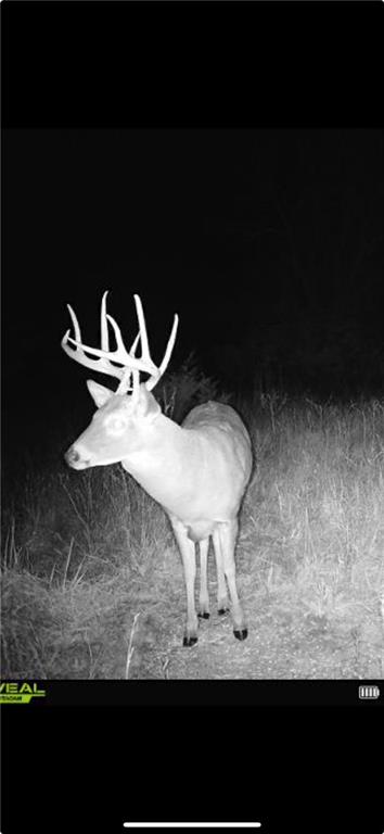 Homes for sale in Cherokee, KS | 00000 S 120th St, Cherokee, KS 66724 | MLS# 2588536