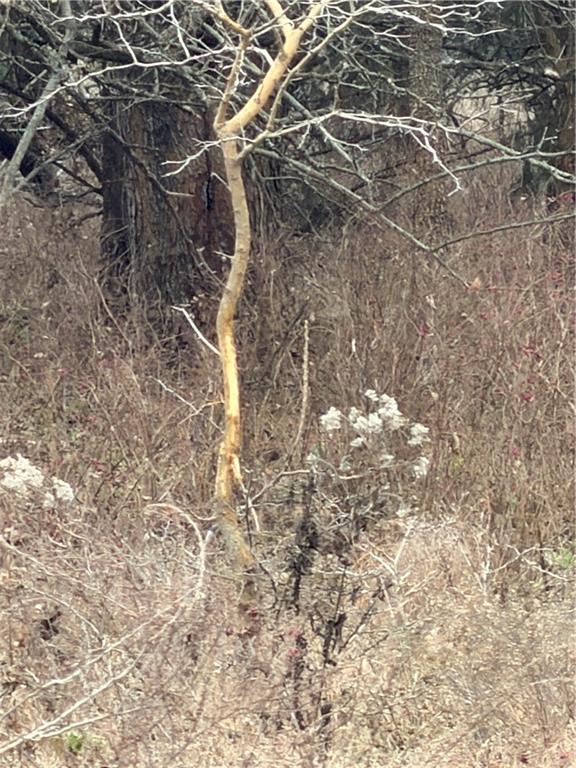 Homes for sale in Independence, KS | 00000 Cr 1900 N/A, Independence, KS 67301 | MLS# 2592504