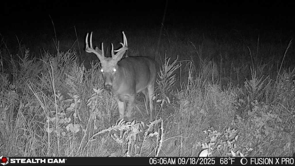 Homes for sale in Mapleton, KS | 2715 Kelly Rd, Mapleton, KS 66754 | MLS# 2596312