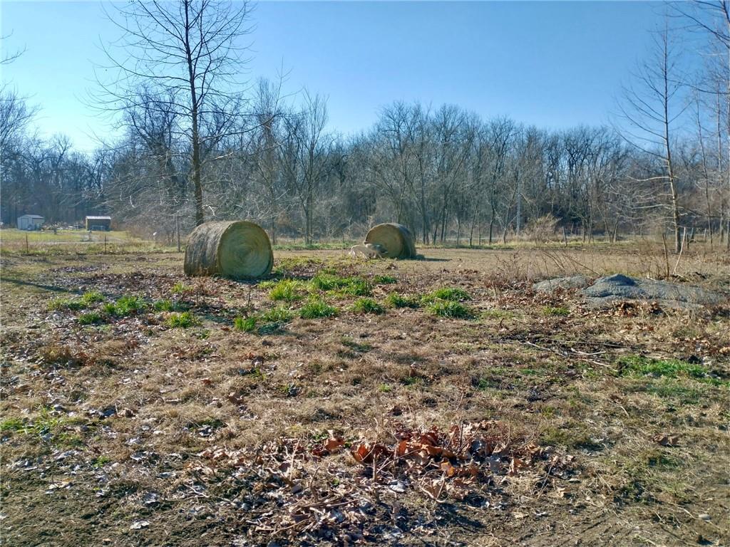 Homes for sale in Kingsville, MO | 1615 Nw 450Th Rd, Kingsville, MO 64061 | MLS# 2598248