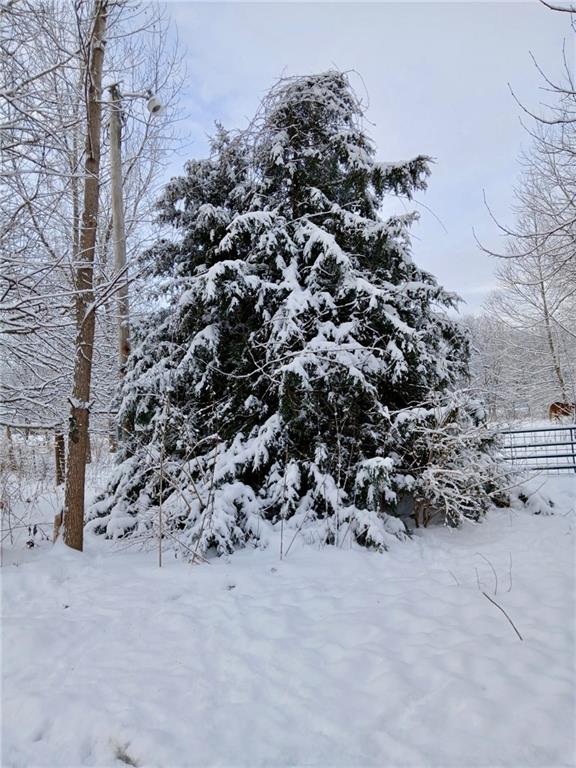 Homes for sale in Kingsville, MO | 1615 Nw 450Th Rd, Kingsville, MO 64061 | MLS# 2598248