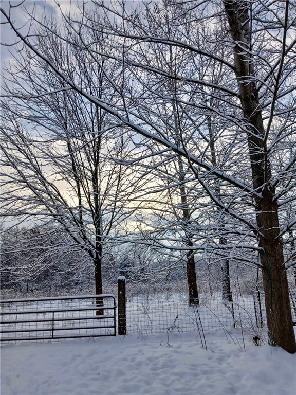 Homes for sale in Kingsville, MO | 1615 Nw 450th Rd, Kingsville, MO 64061 | MLS# 2598248