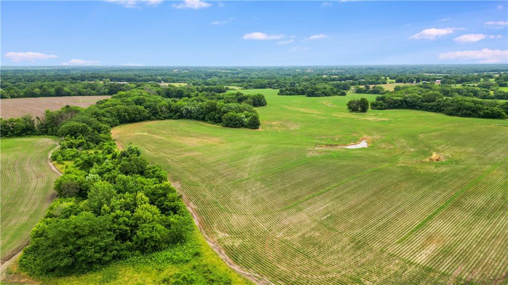 Homes for sale in Garden City, MO | Tract 4 E State Route 2 Hwy, Garden City, MO 64747 | MLS# 2598495