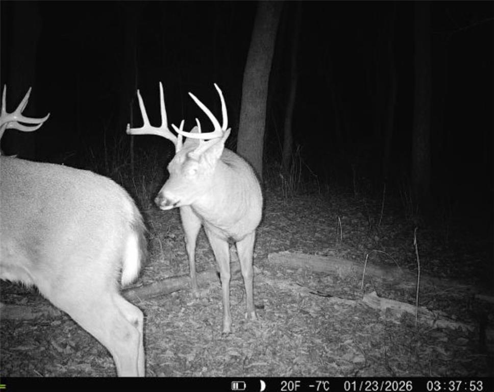 Homes for sale in Mc Louth, KS | 25733 Dempsey Rd, Mc Louth, KS 66054 | MLS# 2598584