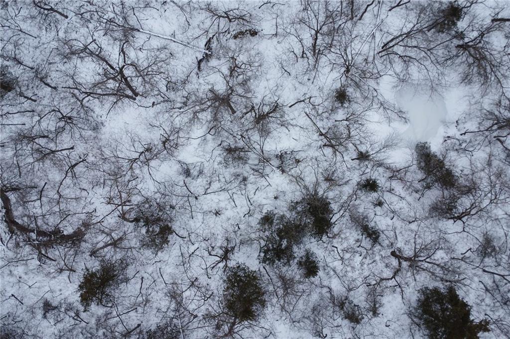 Homes for sale in Lane, KS | 00000 W 387Th St, Lane, KS 66042 | MLS# 2600559