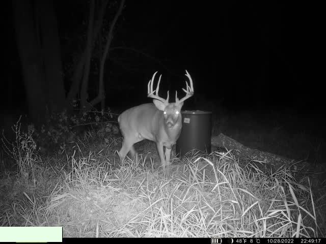 Homes for sale in Dearborn, MO | 0001 Edgerton Junction Rd, Dearborn, MO 64018 | MLS# 2604830