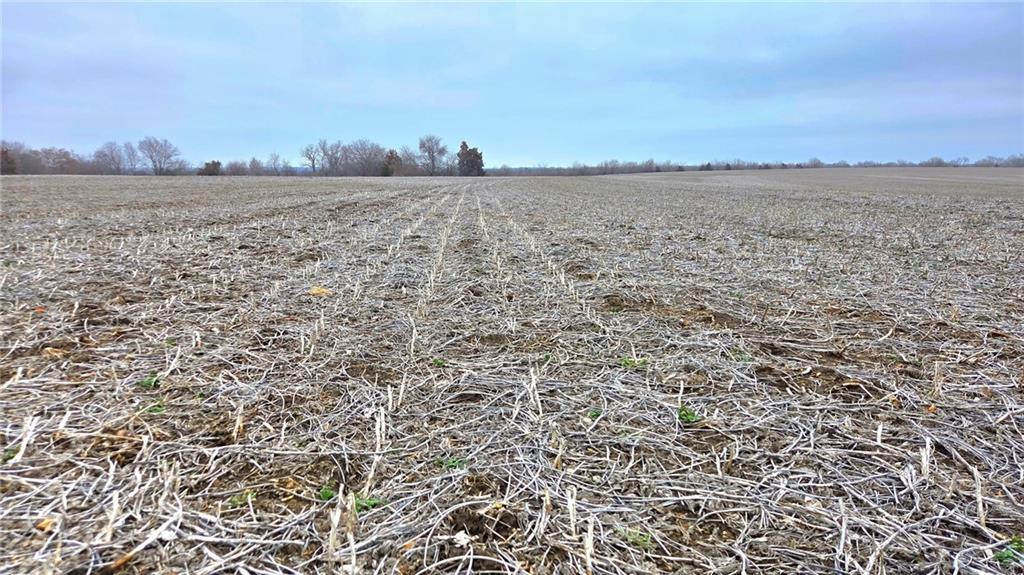 Homes for sale in Mound City, KS | 00000 200 Rd, Mound City, KS 66056 | MLS# 2604943