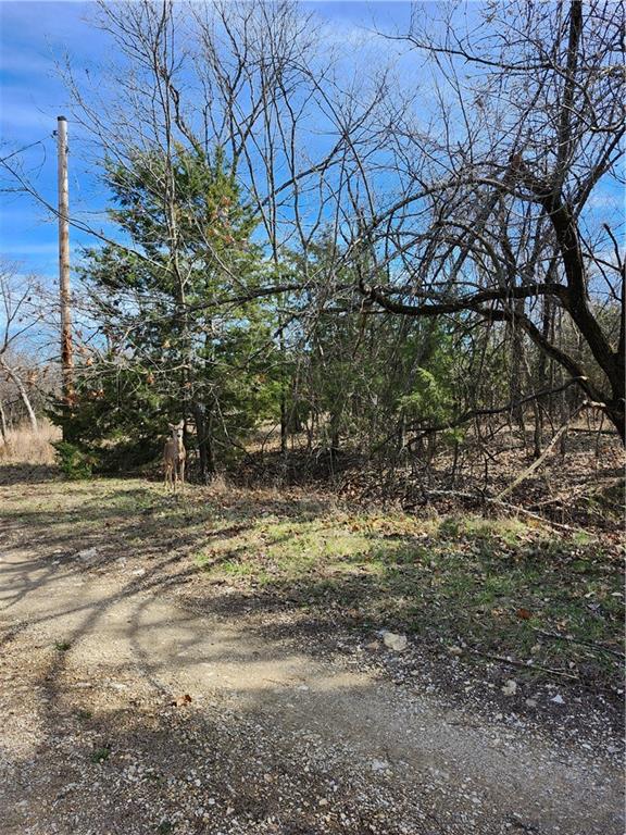 Homes for sale in Linn Valley, KS | 10 Scenic Valley Dr, Linn Valley, KS 66040 | MLS# 2607950