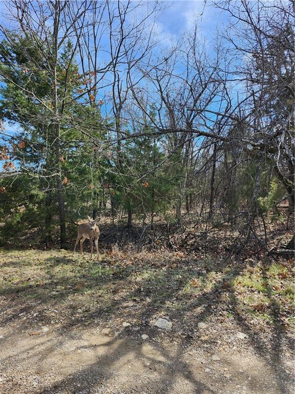 Homes for sale in Linn Valley, KS | 10 Scenic Valley Dr, Linn Valley, KS 66040 | MLS# 2607950