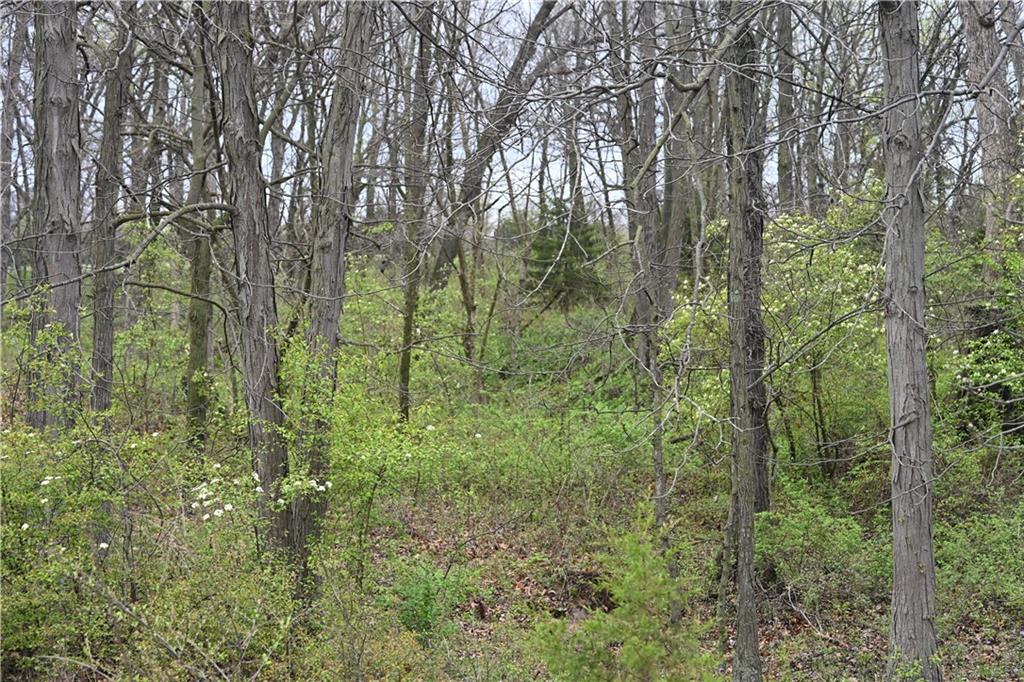 25th image of Hwy C Hwy, Huntsville, MO 65259 | MLS# 2615625