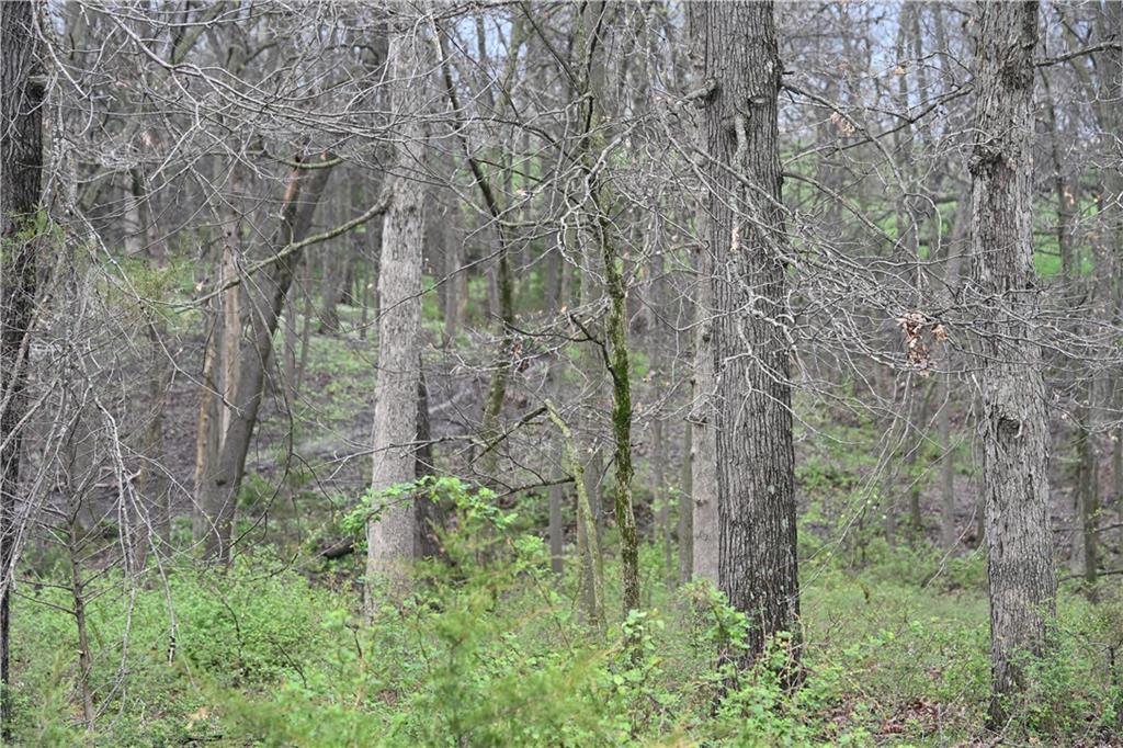 13th image of State Hwy C Hwy, Huntsville, MO 65259 | MLS# 2615696