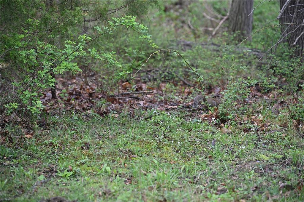 10th image of County Road C Hwy, Huntsville, MO 65259 | MLS# 2622578