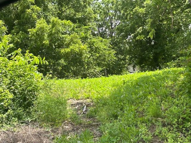 Homes for sale in Kansas City, MO | 3947 Norton Ave, Kansas City, MO 64130 | MLS# 2624249