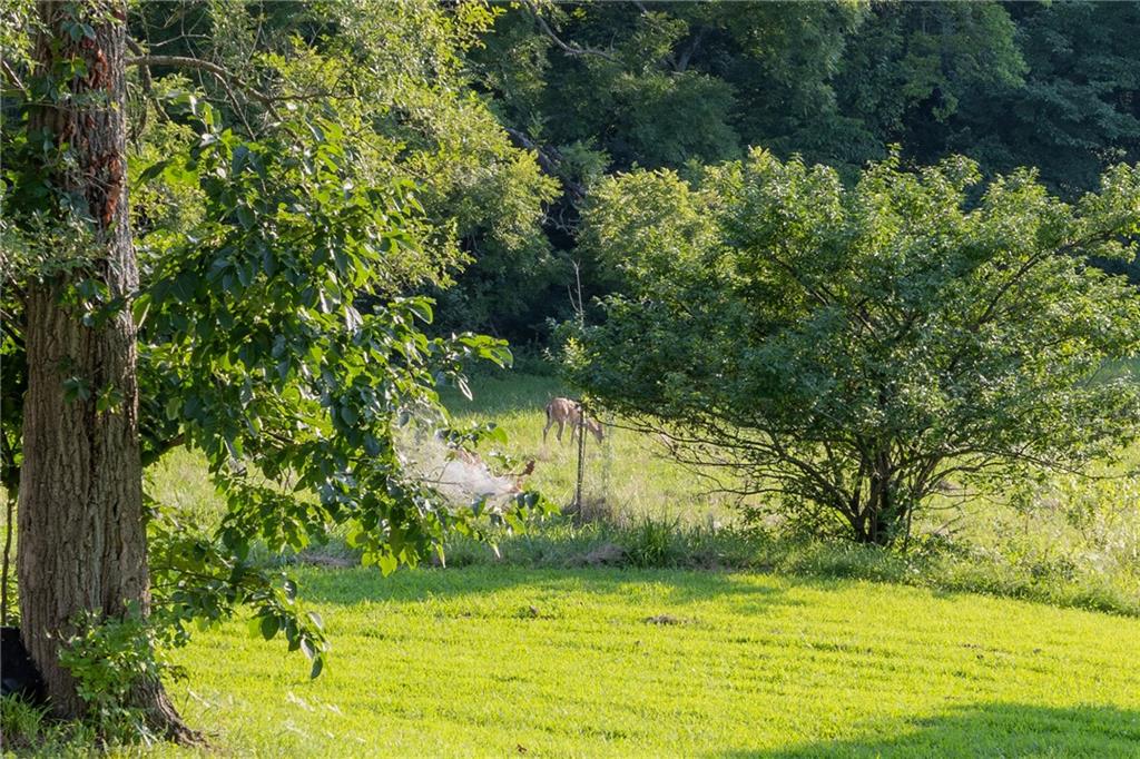 44th image of 7165 Gibbs Rd, Kansas City, KS 66106 | MLS# 2624626