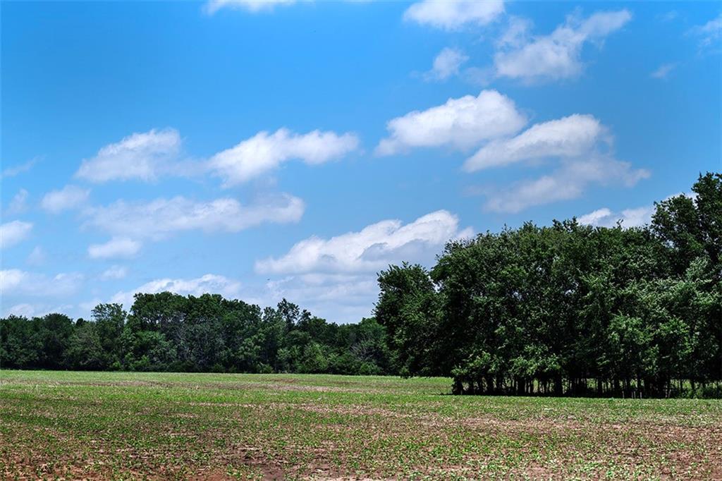 Homes for sale in Hume, MO | Tbd Rd, Hume, MO 64752 | MLS# 2626000