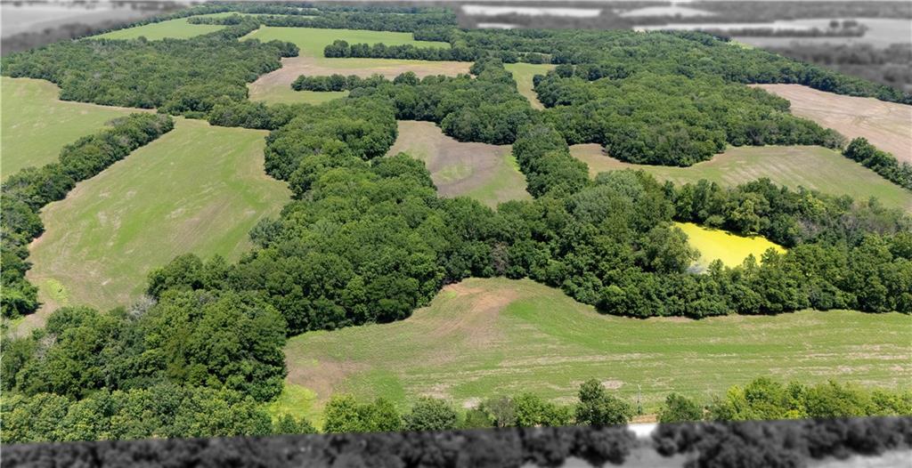 Homes for sale in Hume, MO | Sw County 13007 Rd, Hume, MO 64752 | MLS# 2626010
