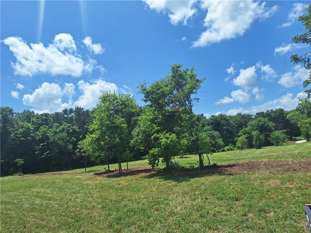 Homes for sale in Garden City, MO | Tract D S Sycamore Grove Rd, Garden City, MO 64747 | MLS# 2631917