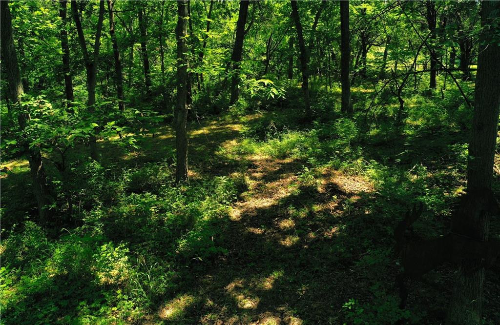 19th image of 10188 State Route 7 Hwy, Lee's Summit, MO 64086 | MLS# 2632076