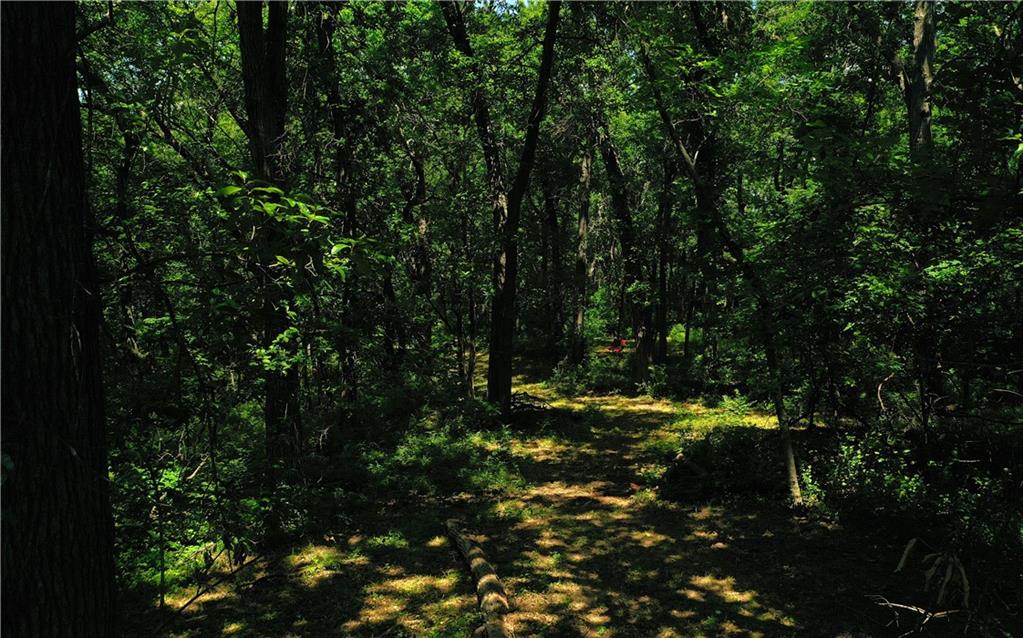 3rd image of 10188 State Route 7 Hwy, Lee's Summit, MO 64086 | MLS# 2632076