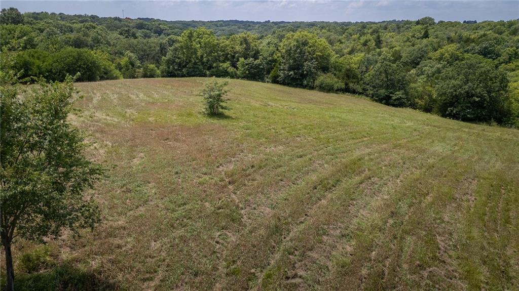 Homes for sale in Orrick, MO | N Hwy, Orrick, MO 64077 | MLS# 2632670